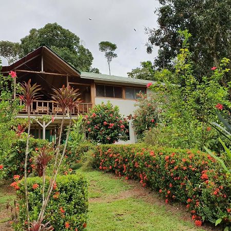Drakes Bay Casa Horizontes Corcovado Bed & Breakfast エクステリア 写真