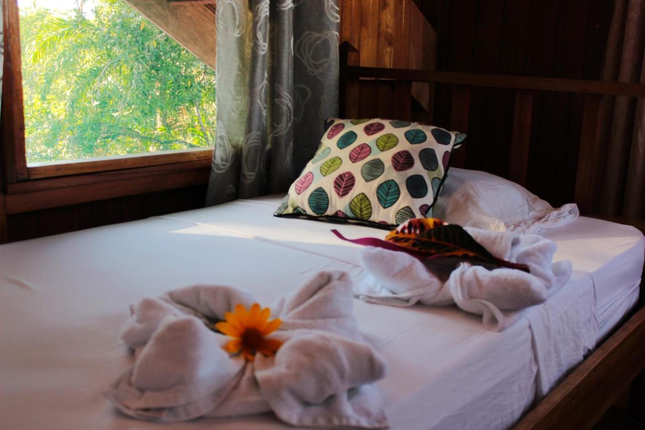 Drakes Bay Casa Horizontes Corcovado Bed & Breakfast エクステリア 写真