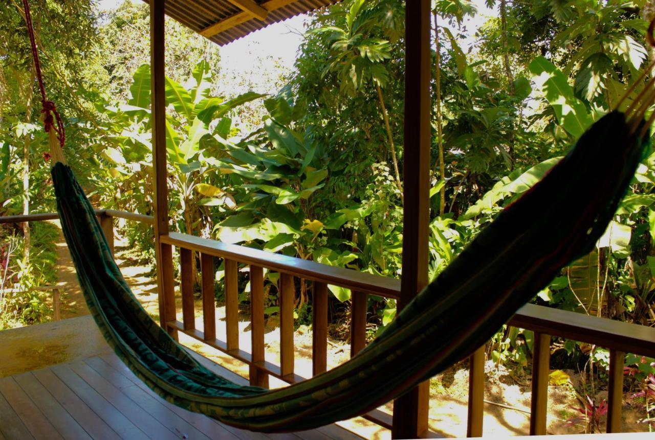 Drakes Bay Casa Horizontes Corcovado Bed & Breakfast エクステリア 写真
