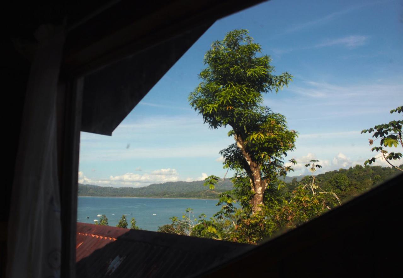 Drakes Bay Casa Horizontes Corcovado Bed & Breakfast エクステリア 写真