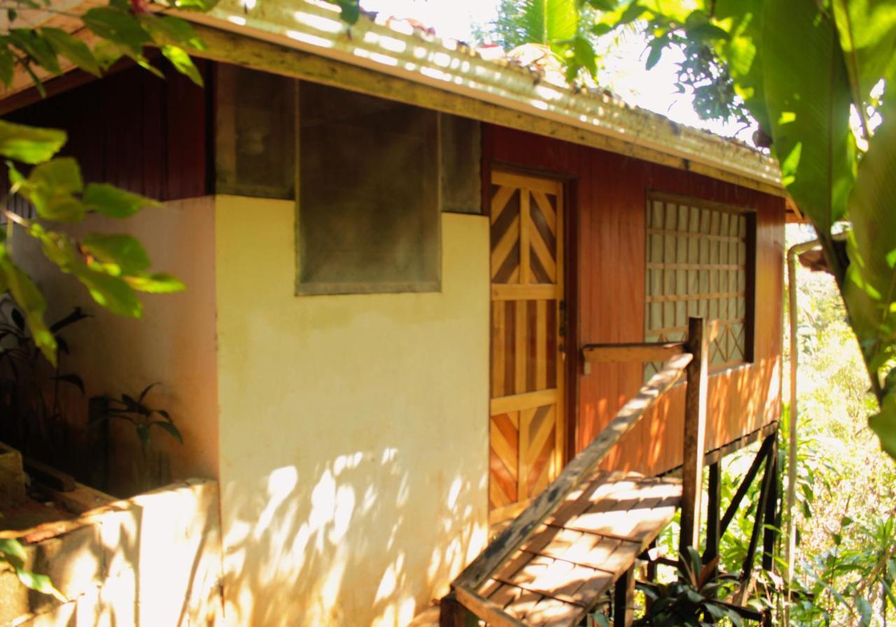 Drakes Bay Casa Horizontes Corcovado Bed & Breakfast エクステリア 写真