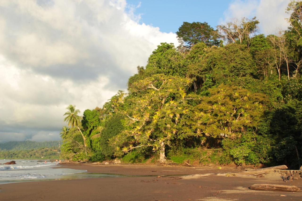 Drakes Bay Casa Horizontes Corcovado Bed & Breakfast エクステリア 写真