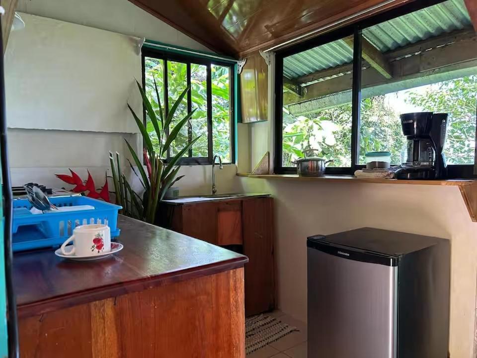 Drakes Bay Casa Horizontes Corcovado Bed & Breakfast エクステリア 写真