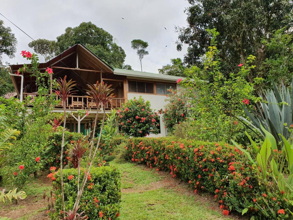 Drakes Bay Casa Horizontes Corcovado Bed & Breakfast エクステリア 写真